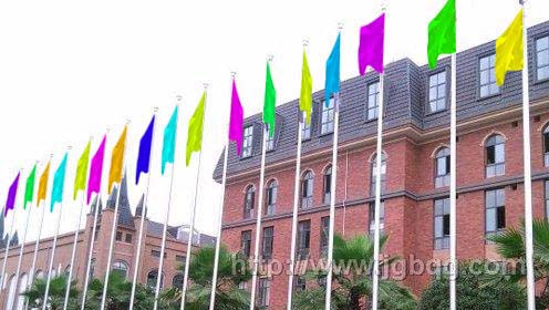 電動(dòng)旗桿的失電手動(dòng)操作功能 